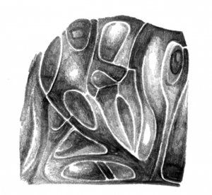 Textured Organic Forms