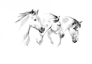 Three Spirited Horses by Kulik