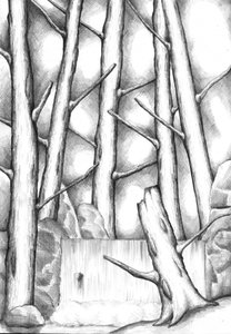 Tranquil Forest Waterfall