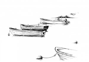 Tranquil Harbor Boats