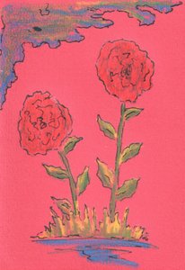 Two Blooming Roses