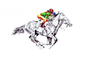 Vibrant Racehorse Jockey