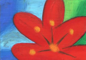 Vibrant Red Bloom
