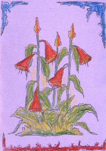 Vibrant Red Blooms