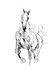 Wild Horse Movement by Kulik