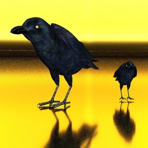 Texture with Ravens
