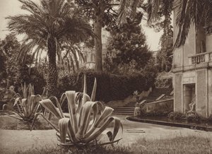 Rome: In the Vatican Garden by Kurt Hielscher
