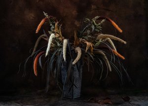 Moody Dried Botanicals by LM Meng