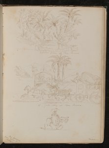 A palm grove at San Remo, a horse-drawn carriage in front of 