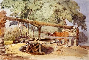 Turkish Water Wheel, Heliopolis by Lady Louisa Tennyson