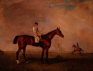 Bay Racehorse with Jockey on a Racecourse
