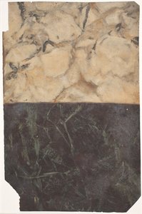 Draft for Two Different Types of Marbling, One Black-Blue and One Golden-White by Lambert van Haven