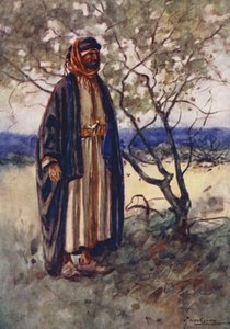 People of Egypt: Bedouin Arab, Bedawi
