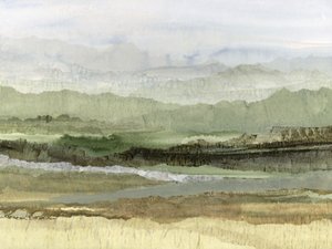 Misty Green Valley