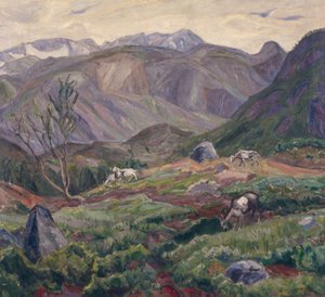 From Leirungsdalen by Lars Jorde