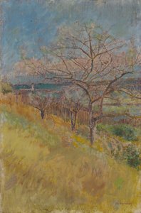 Valley with Trees in Bloom by Laszlo Mednyanszky