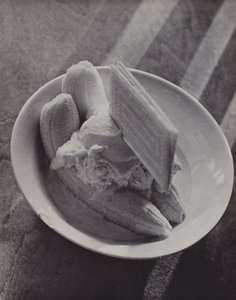Banana Mess, The Caviar of Eton by Laszlo Moholy Nagy