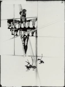 Structure of the World by Laszlo Moholy Nagy