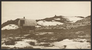 Drifter, Sheep Wagon and Band on Winter Bedground