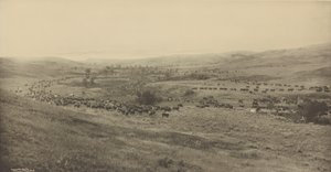 Throwing Rangers to the Roundup by Laton Alton Huffman