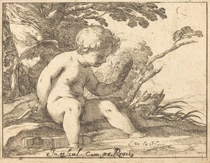 Cupid Looking in a Mirror