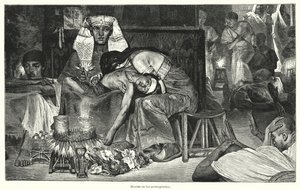 Death of the Firstborn: the last of the Ten Plagues of Egypt