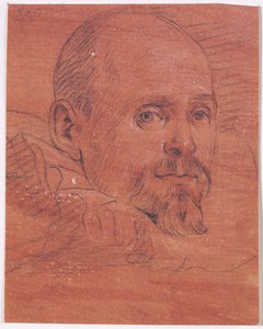 Portrait of a Man by Lazzaro Tavarone