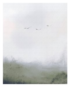 Birds Flying Over a Field