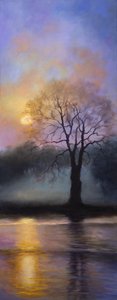 Bushy Park Dusk