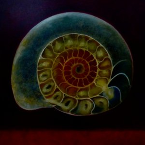 Green Ammonite, 2020 by Lee Campbell
