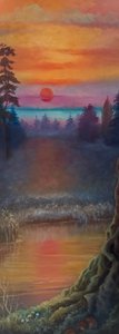 Northern Light by Lee Campbell