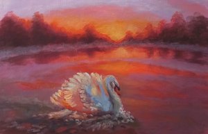 Onwards, Swan Swimming, 2024