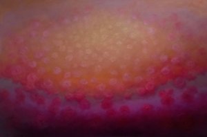 Rapture in Rose, 2025