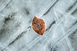 Before the Thaw