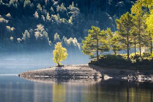 Druid’s Rest, 2024 by Lee Cooper