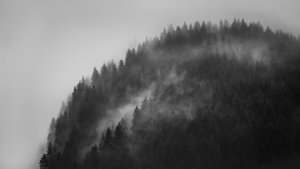 Greenwitch Way, 2022