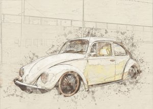 Classic Beetle Sketch