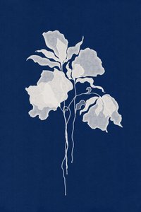 Ethereal White Flowers