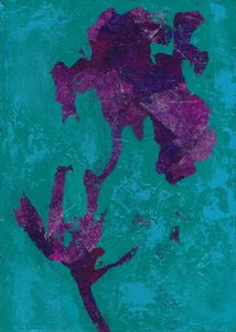 Abstract Purple Iris by Lena Ru