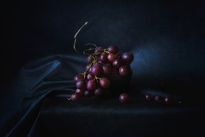 Rich Purple Grapes by Lenka