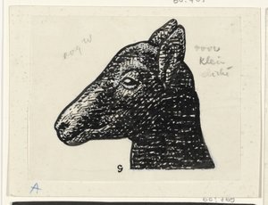 Head of a Lamb by Leo Gestel (signed by artist)