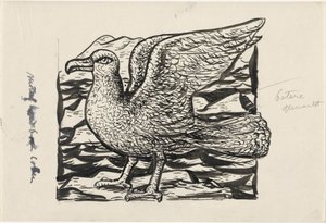 Seagull