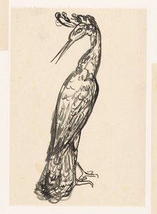 Heron with Its Head Turned Back