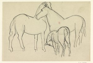 Two Horses and a Foal