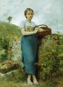 The Grape Picker