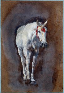 A Horse Drawing