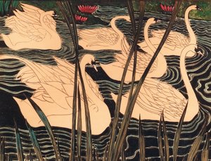Swans, c. 1900