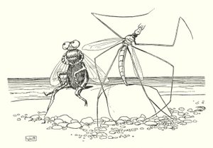 The Daddy Long-legs and the Fly by Leonard Leslie Brooke