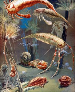Life in Paleozoic Seas by Leonard Robert Brightwell