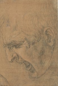 Head of a Screaming Man by Leonardo da Vinci (follower of)